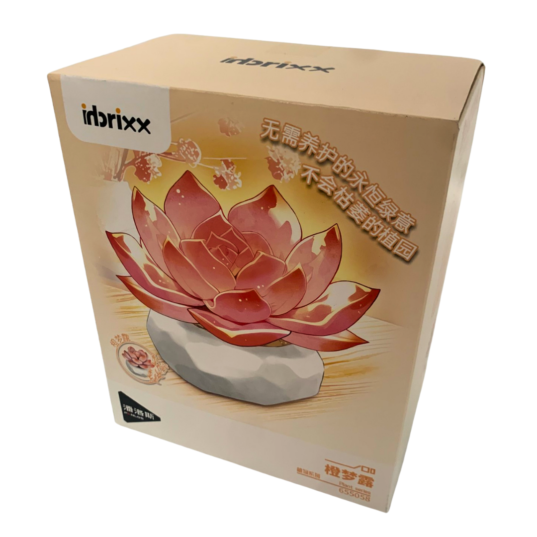Inbrixx 65058 Echeveria Monroe Succulent – Brick Botanical Set (43