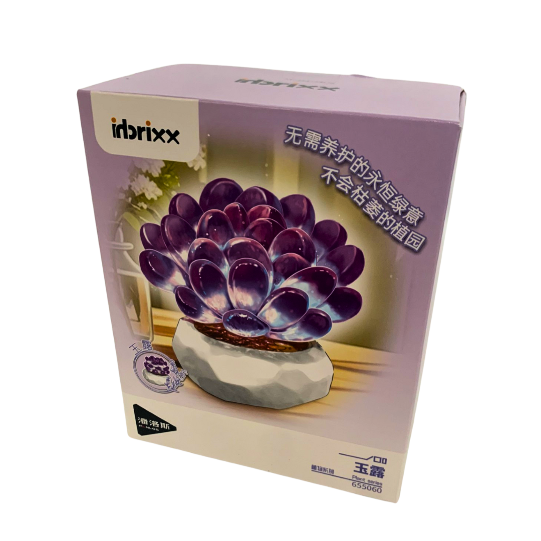 botanical succulent Inbrixx 65060 Haworthia Piffera Succulent – Brick Botanical Set (64 pcs) –  IMEX Model Company