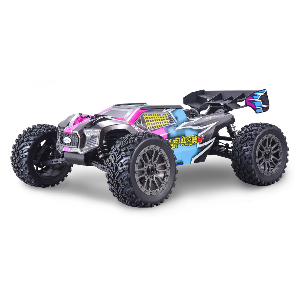 FS Racing Leopard 6S 1/8 Brushless 4WD Truggy - FS33669S – IMEX