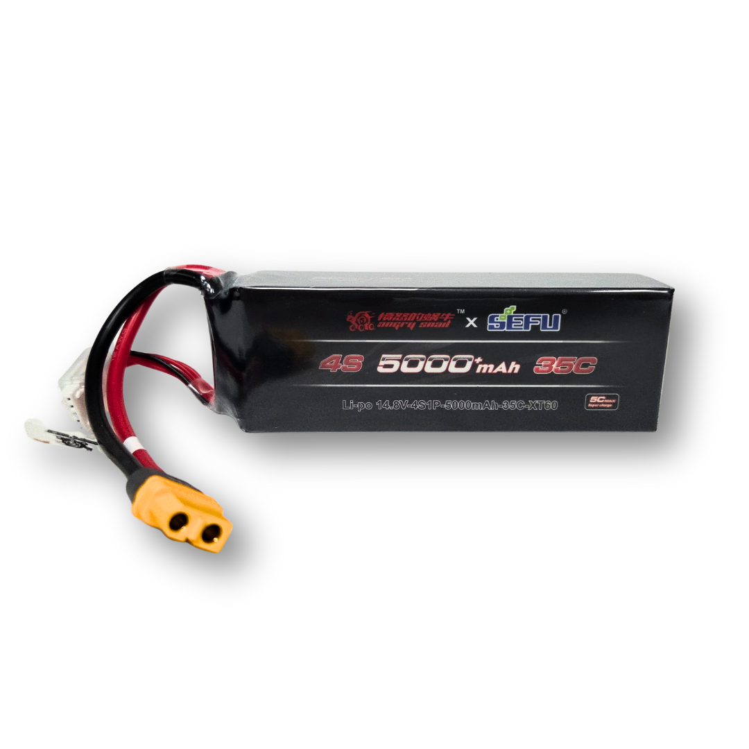 LiPo Batteries