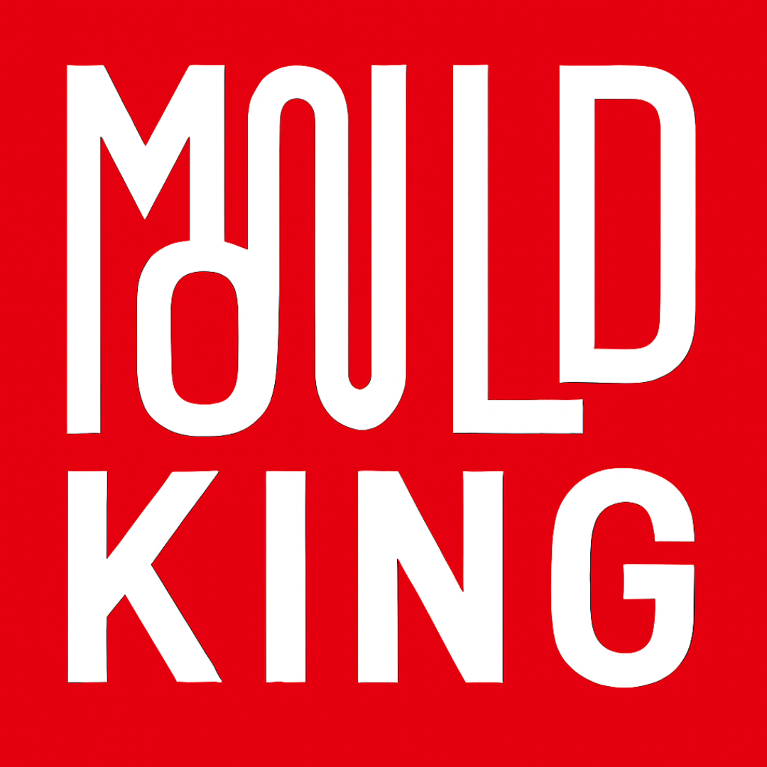 Mould King