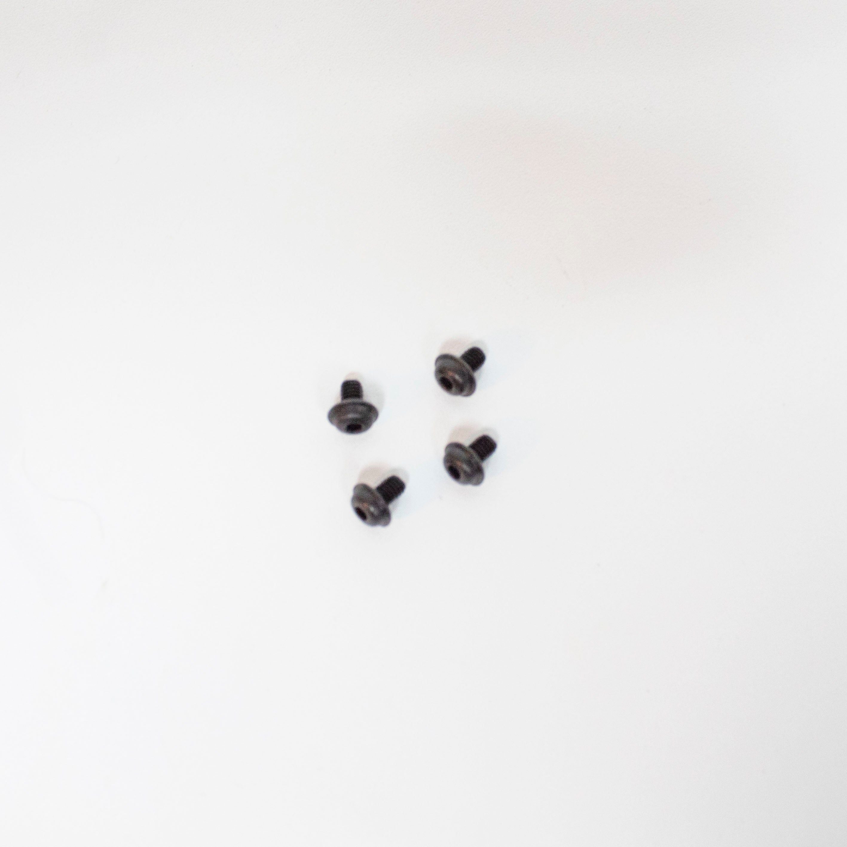 RING SELF TAPPING SCREW 2.5*4