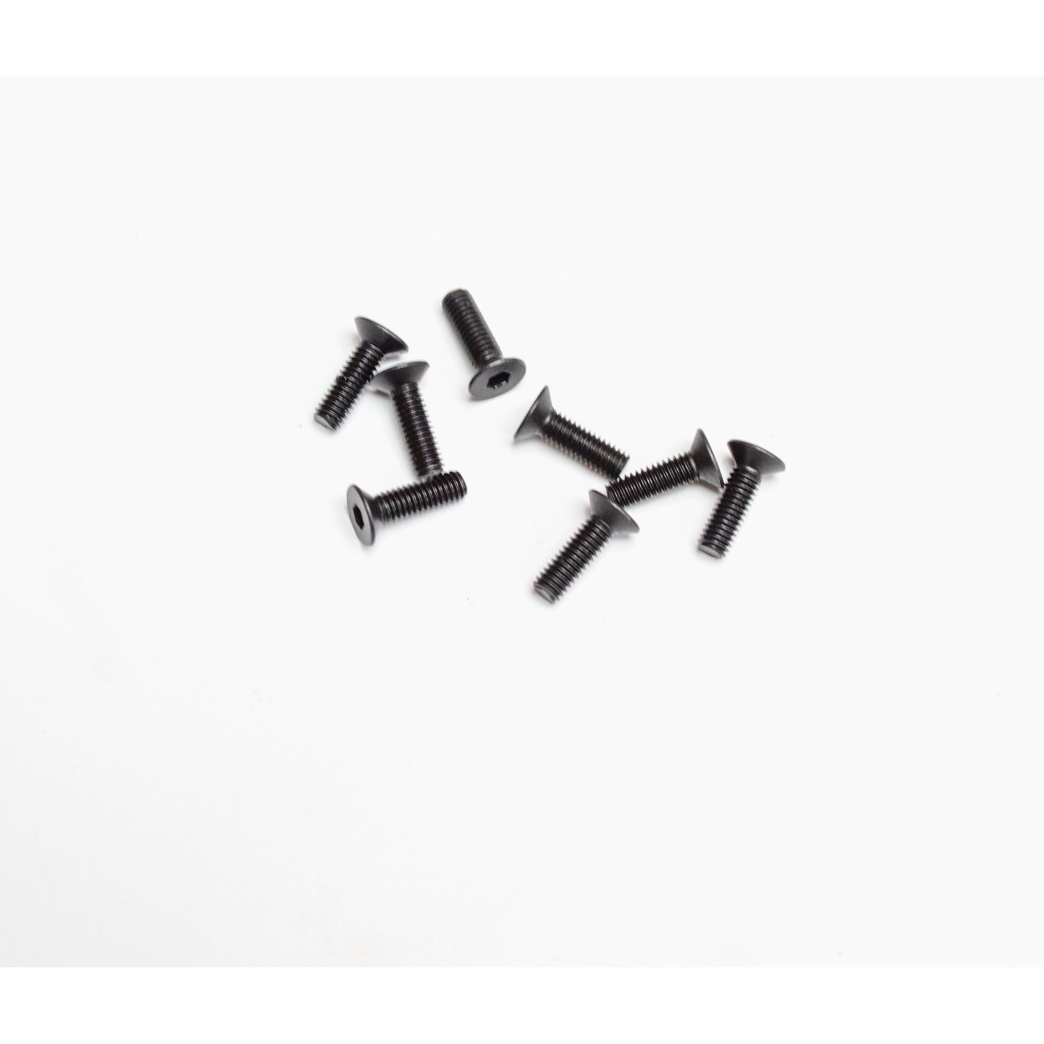 FLAT HEAD SCREW SET 3*10MM