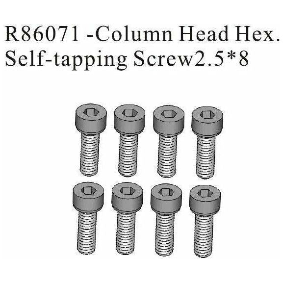 Column Head Hex Screw 2.5x8